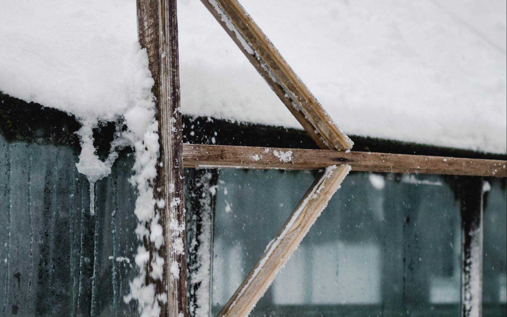 How to Prepare Your Greenhouse for the Winter