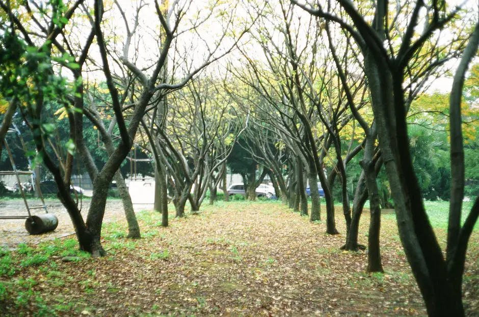 A visualization of trees placed strategically to maximize privacy, with one row of taller trees in the back and multiple staggered rows of shorter trees in the front, creating a dense barrier.